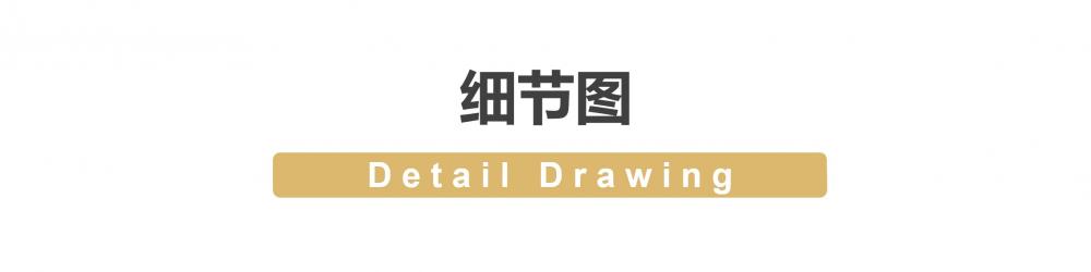 50支棉涤珠地拉架2101 Polo衫 细节展示 启虎